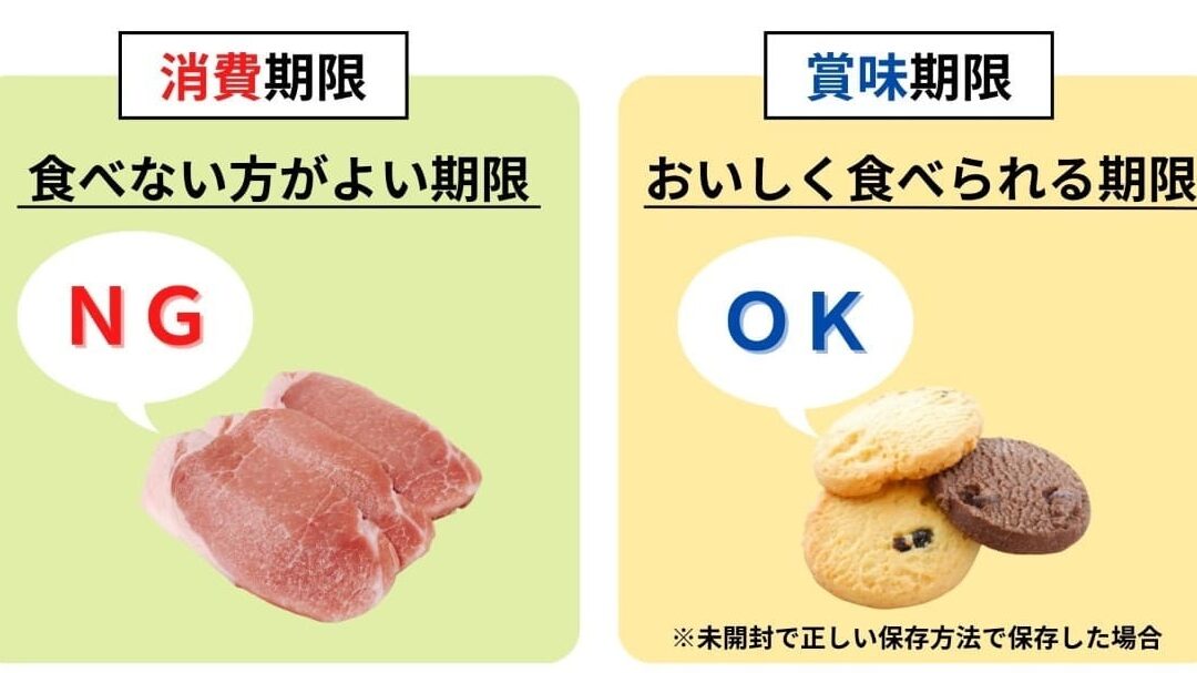 豚肉 腐ってる 見分け方と確認ポイント